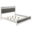 Barzini - Upholstered Panel Bed