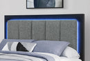 Emma - Full Bed - Black / Gray