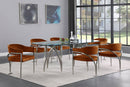 Madelyn - Dining Chair (Set of 2) - Brushed Chrome