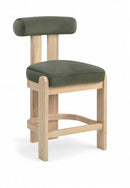 Arienzo - Velvet Performance Fabric Upholstered Counter Stool (Set of 2)