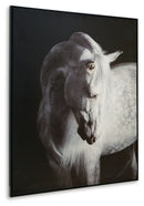 Archerwick - Wall Art - Black / White