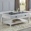 Katia - Coffee Table - Rustic Gray & Weathered White